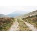 Loon Peak® Scottish Highlands I by Laura Marshall - Wrapped Canvas Photograph Canvas in Blue/Brown/Green | 8 H x 12 W x 1.25 D in | Wayfair