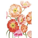 Red Barrel Studio® Bright Poppies I by Grace Popp - Wrapped Canvas Painting Canvas | 12 H x 8 W x 1.25 D in | Wayfair