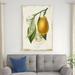 Red Barrel Studio® French Lemon II by Studio W - Wrapped Canvas Painting Metal | 48 H x 32 W x 1.25 D in | Wayfair 712B4620B9AA40F19BD7FFCA4F7DD46A