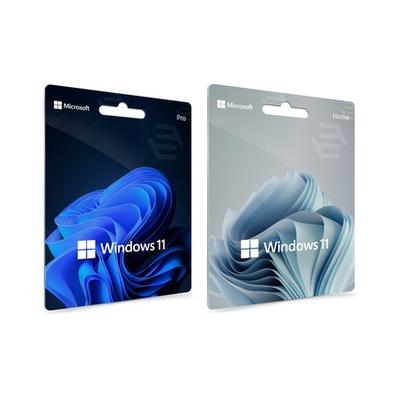 : Microsoft Windows 11 Professional