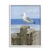 Stupell Industries Summer Seagull & Starfish Nautical Beach Post Black Framed Giclee Texturized Art By Sally Swatland Canvas in Blue | Wayfair