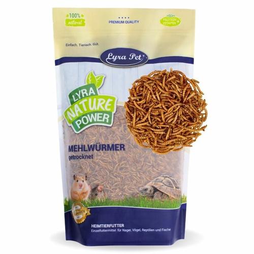 Lyra Pet - 1 kg ® Mehlwürmer für Nager