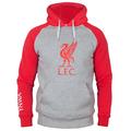 Liverpool Grey/Red Crest Hoodie 2020/21-L