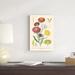 Red Barrel Studio® Antique Botanical XL Light by Wild Apple Portfolio - Wrapped Canvas Painting Canvas | 18 H x 12 W x 1.25 D in | Wayfair