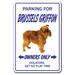 Trinx Bernon Brussels Griffon Sign Resin/Plastic | 10 H x 14 W x 0.1 D in | Wayfair D22AECA715594ACD9A8DE5E1B223E783