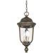 Lavery Havenwood Bronze & Hammered Glass 3 Light Outdoor Chain Hung