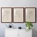 Kelly Clarkson Home Floral Contour Study I Premium Framed Matte - Ready To Hang Paper, Solid Wood in Gray/Green/Indigo | 1 D in | Wayfair