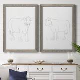 Rosalind Wheeler Limousin Cattle III - Picture Frame Painting Print Canvas, Solid Wood in White | 24 H x 36 W x 1.5 D in | Wayfair