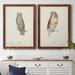 Loon Peak® Scops- Eared Owl - Picture Frame Graphic Art Print Canvas, Solid Wood in White | 31.5 H x 47 W in | Wayfair