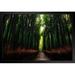 Latitude Run® Footpath Through Bamboo Forest In Arashiyama Japan Photo Matted Framed Art Print Wall Decor 26X20 Inch Paper in Green | Wayfair