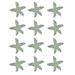 Distressed White Cast Iron Starfish Drawer Pull Set Of 12 - 2.5 X 2.75 X 1.75 inches