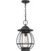 Red Barrel Studio® Agatha 1-Light Outdoor Hanging Lantern Aluminium/Metal in Black/Gray | 17.75 H x 10.5 W x 10.5 D in | Wayfair