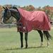 SmartPak Deluxe High Neck Turnout Blanket with Earth Friendly Fabric - 75 - Medium (220g) - Merlot w/ Charcoal & Grey Trim & White Piping - Smartpak
