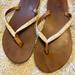 American Eagle Outfitters Shoes | American Eagle Flip Flops Used, But Comfy. | Color: Brown/White | Size: 7