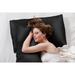100% Mulberry Silk Pillowcase for Hair and Skin, Zipper Style Luxurious 16 Momme Pillow Case Cover