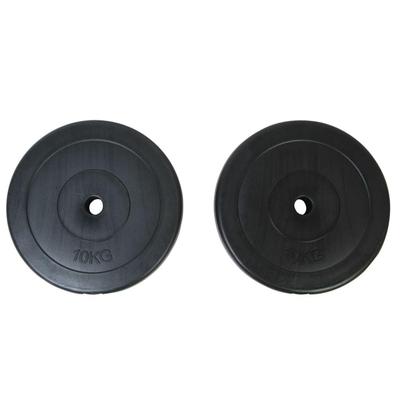 vidaXL 2 x Weight Plates 22 lb