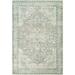 Erin Rug 2'6" x 4' by Surya in Sage