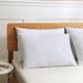 Twin Pack Duck Down Blended Bed Pillows with Cotton Cover by St. James Home in White (Size STANDARD)
