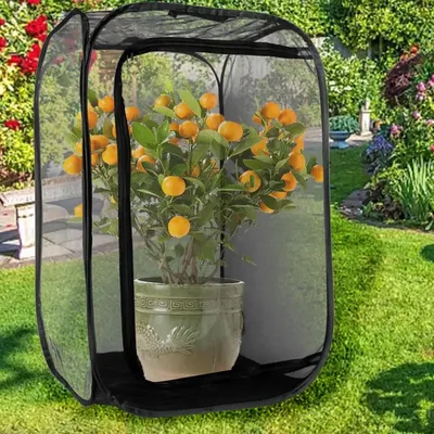 Cages à Papillon en Maille Pliable pour Plantes Boîte à Serre Filet pour Plantes