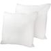Feather Replacement Cushion Insert in Assorted sizes, 2 or 4-Pack