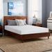 Queen Medium 8" Memory Foam Mattress - Alwyn Home Knisely | 78.8 H x 59.1 W 8 D in Wayfair F32C50CECE5441EBBD94B16675D461C4