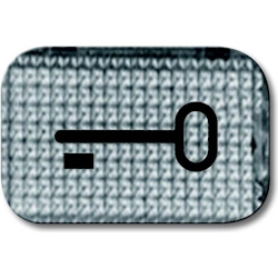 Busch-Jaeger Tastersymbol 2145 TR 2CKA001714A0237 Image