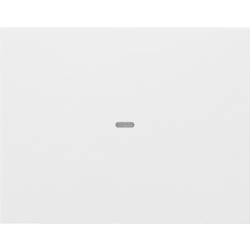 Berker Tast-Abdeckung 1f. pws 80960279 Image