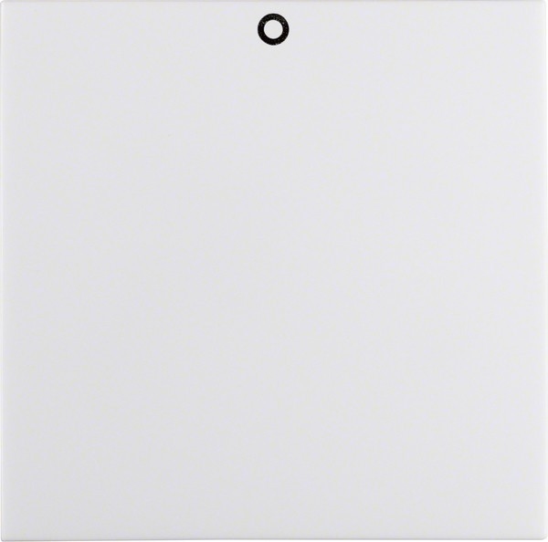 Berker Wippe pws/gl 16228989 Image