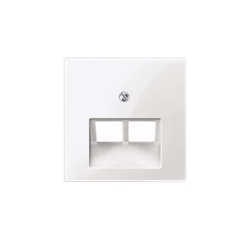 Merten Zentralplatte pws/gl 296119