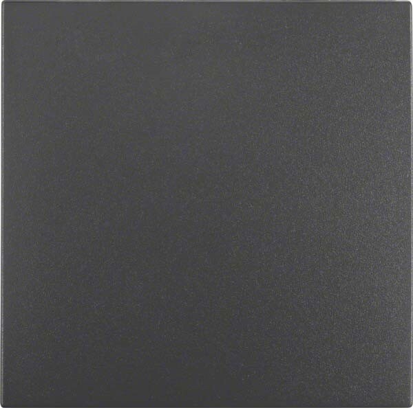 Berker Wippe anth matt 16201606 Image