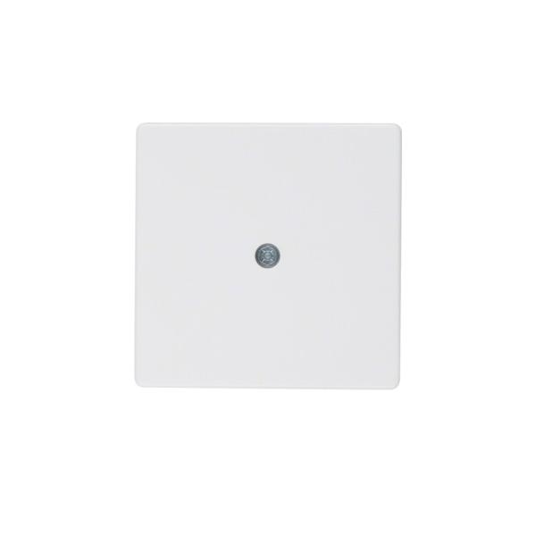 Berker Zentralstück 10196089 Image