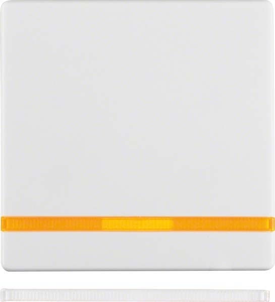 Berker Wippe 16216089 Image