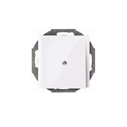 Merten Zentralplatte aws/gl 296325 Image