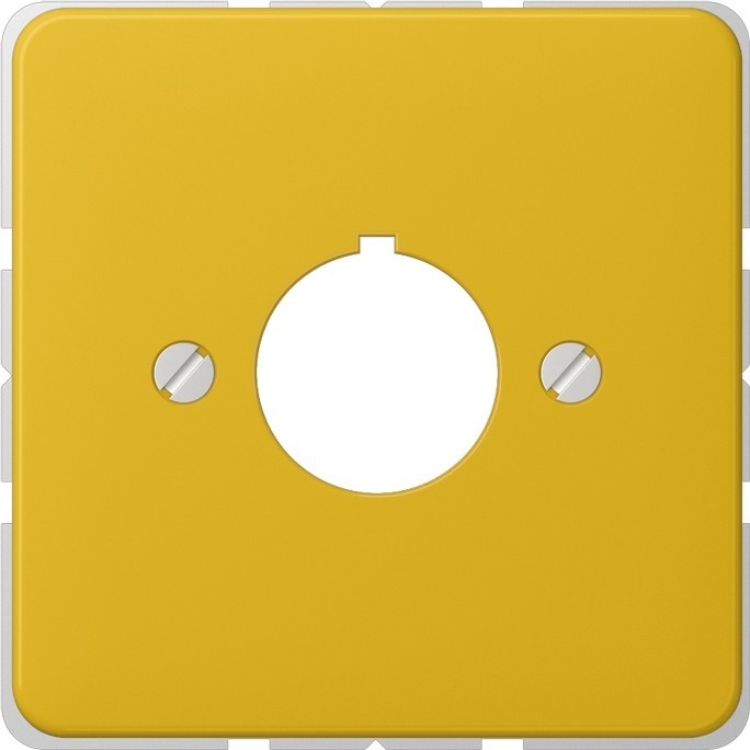 Jung Abdeckung ge 564 GE 564GE Image