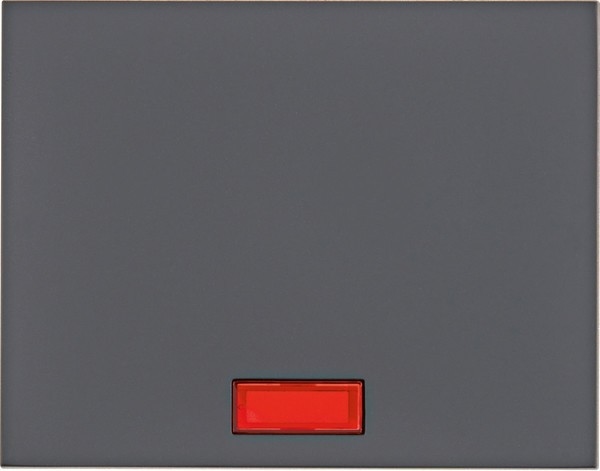 Berker Wippe 14157006 Image