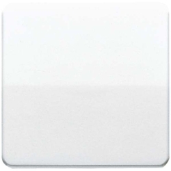 Jung Wippe gr CD 590 GR CD590GR Image