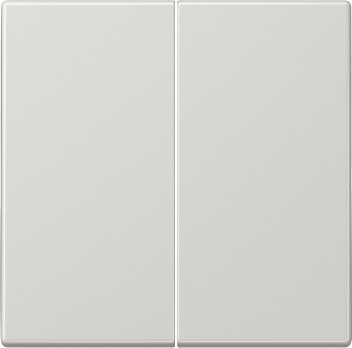 Jung Wippe lgr LS 995 LG LS995LG Image