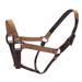 Brown/Dark Brown Nylon Duck Horse Halter, Medium