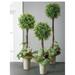 Sullivans Artificial Set of 3 Boxwood Topiary Tree 22"H, 25"H & 30"H Green