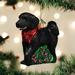 Old World Christmas Doodle Dog Hanging Figurine Ornament Glass in Black | 3.75 H x 2.25 W x 2 D in | Wayfair 12560