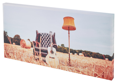 t.akustik Print Panel Acoustic Fields