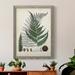 Rosalind Wheeler Collected Ferns II Premium Framed Canvas - Ready To Hang Metal in Black/Blue/Green | 32 H x 23 W x 1 D in | Wayfair