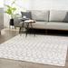 Tigris TGS-2310 2' x 3' Traditional Updated Traditional Ivory/Gray Area Rug - Hauteloom