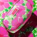 Lilly Pulitzer Bags | Lilly Pulitzer X Este Lauder Makeup Bag Nwt | Color: Green/Pink | Size: Os
