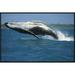 East Urban Home 'Humpback Whale Breaching, Kaikoura, New Zealand' Photographic Print, Wood in Blue | 42 W in | Wayfair