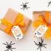 Koyal Wholesale Spiders & Webs Paper Disposable Gift Bags in Black/Orange | Wayfair A3PP06432