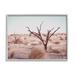 Stupell Industries Southwestern Desert Tree Landscape Soft Muted Brush by Ziwei Li - Photograph on Canvas in Brown | 14 H x 11 W x 1.5 D in | Wayfair