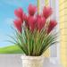 Primrue Pampas Bushes Polyester/Plastic in Red | 23 H x 6 W x 6 D in | Wayfair 8F7898E2F01C43D1AD02742A65AEE608