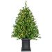 The Holiday Aisle® Green Christmas Tree w/ LED Lights in White | 18 W x 18 D in | Wayfair 6105AA6203CE4CC6957AA098BF6B1B97