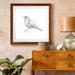 Wexford Home Robin Bird Sketch II 1 Piece Picture Frame Square Print Set on Canvas Canvas, in Black/Blue/Green | 27.5 H x 27.5 W x 1.5 D in | Wayfair